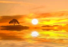 56 de citate inspirationale pentru viata de zi cu zi