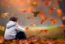 25 de citate motivationale de toamna pentru a incepe sezonul cu entuziasm